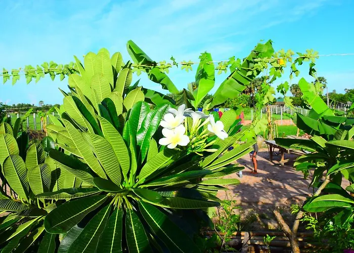Ferienpark Angkor Countryside Boutique 4*